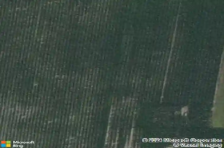 910 juneberry dr, palo,  IA 52324