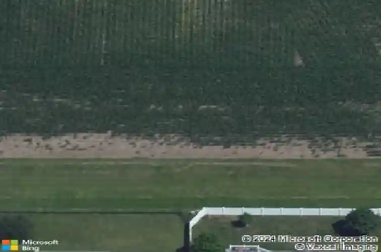 111 sumac dr, palo,  IA 52324