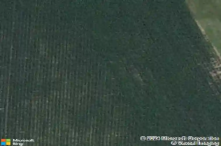 109 oak dr, palo,  IA 52324