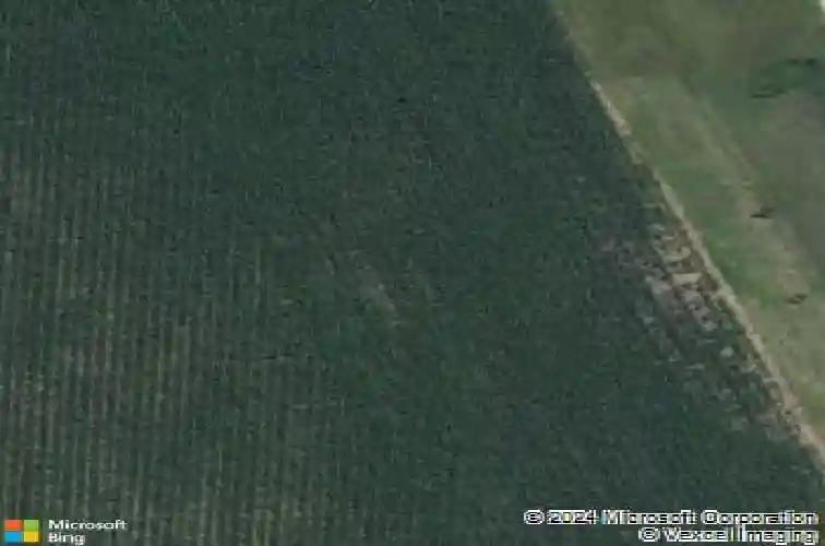 105 oak dr, palo,  IA 52324