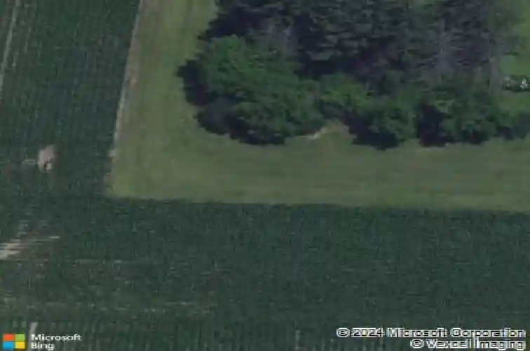 901 oak dr, palo,  IA 52324