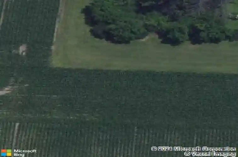 839 oak dr, palo,  IA 52324