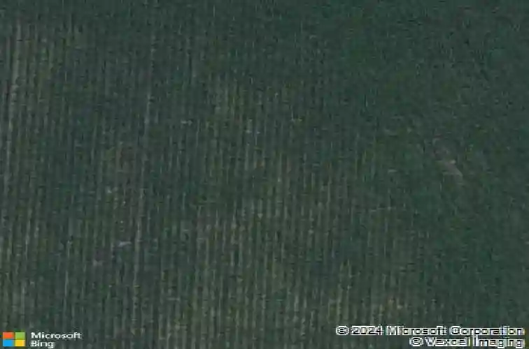 113 oak dr, palo,  IA 52324