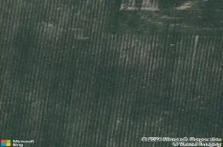 820 juneberry dr, palo,  IA 52324