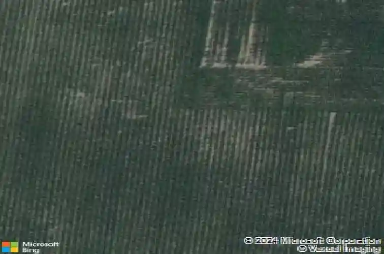 824 juneberry dr, palo,  IA 52324