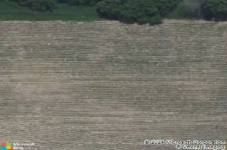 2598 anne ln, hiawatha,  IA 52233