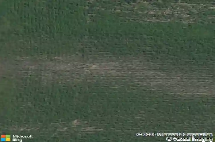 2876 grassland ct, hiawatha,  IA 52233