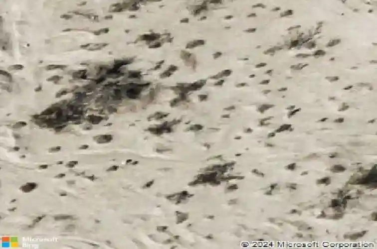  north las vegas,  NV 89031