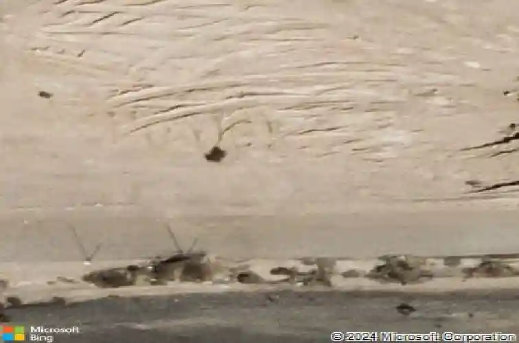  las vegas,  NV 89156