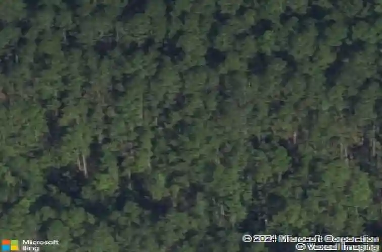 3583 blue jay rd, guyton,  GA 31312