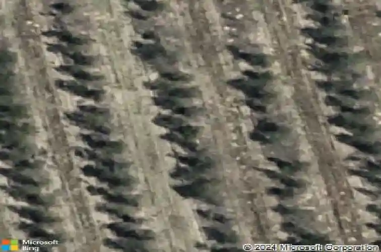  haines city,  FL 33844