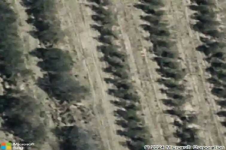  haines city,  FL 33844