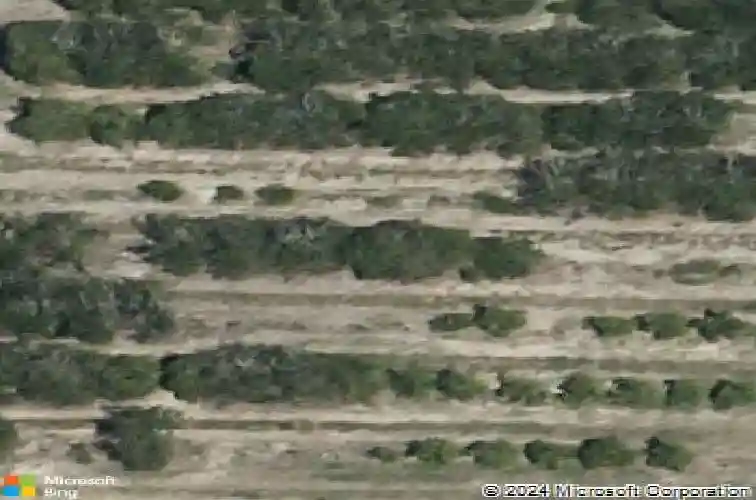  haines city,  FL 33844