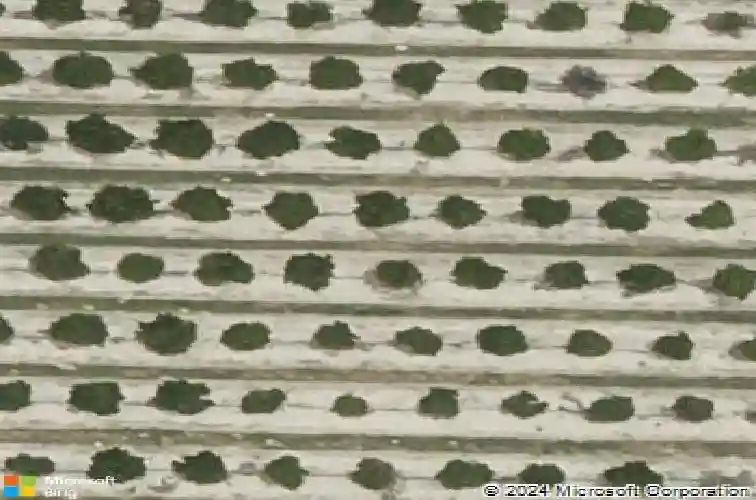  haines city,  FL 33844