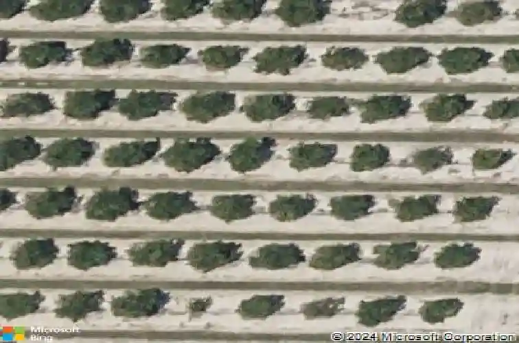  haines city,  FL 33844