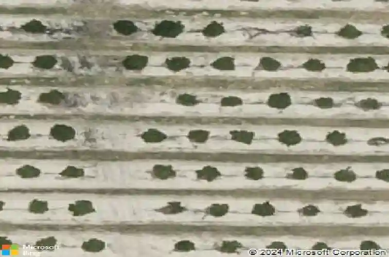  haines city,  FL 33844