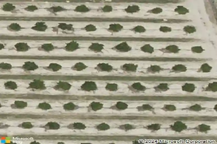  haines city,  FL 33844