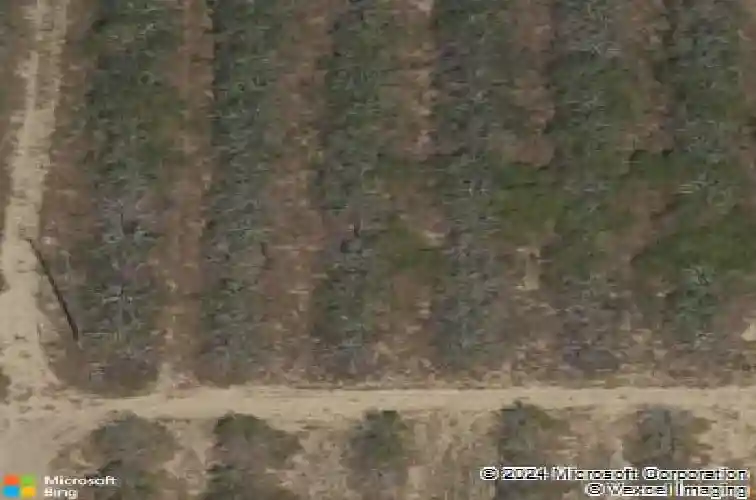  davenport,  FL 33837