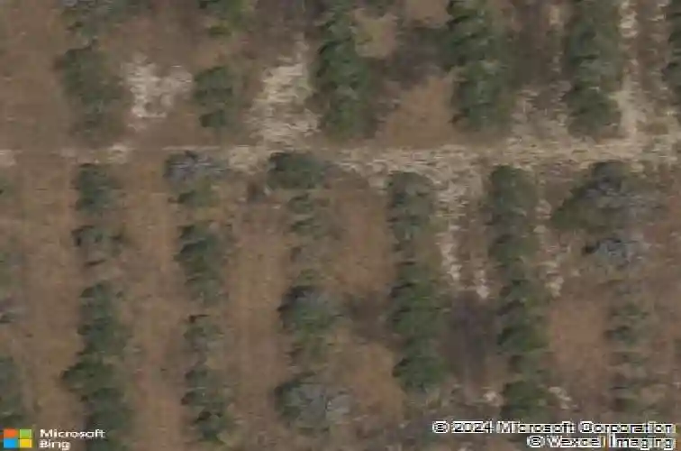  davenport,  FL 33837