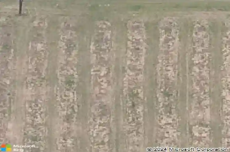  haines city,  FL 33844