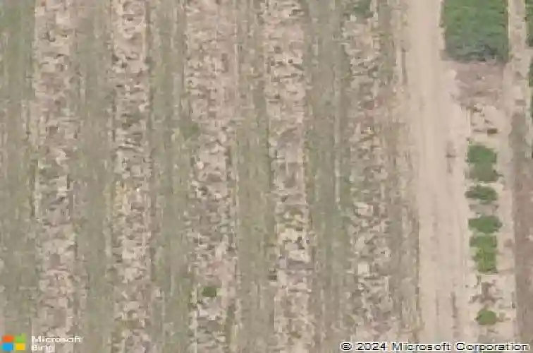  haines city,  FL 33844