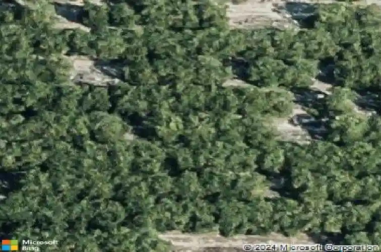  lake alfred,  FL 33850