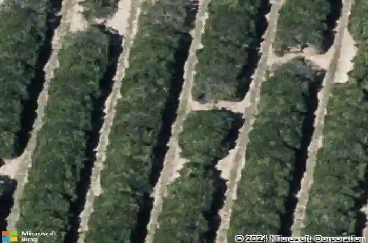  auburndale,  FL 33823