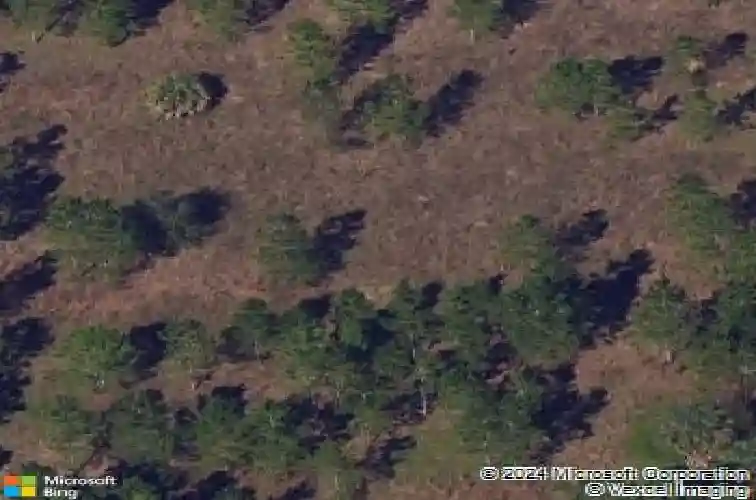  davenport,  FL 33897