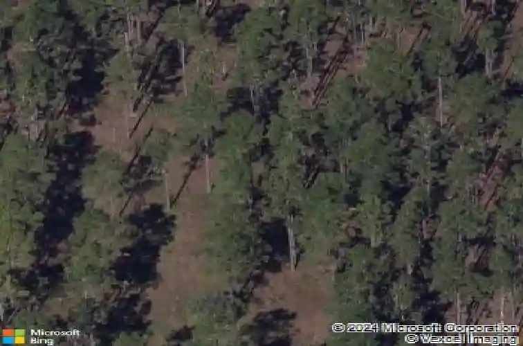  davenport,  FL 33897