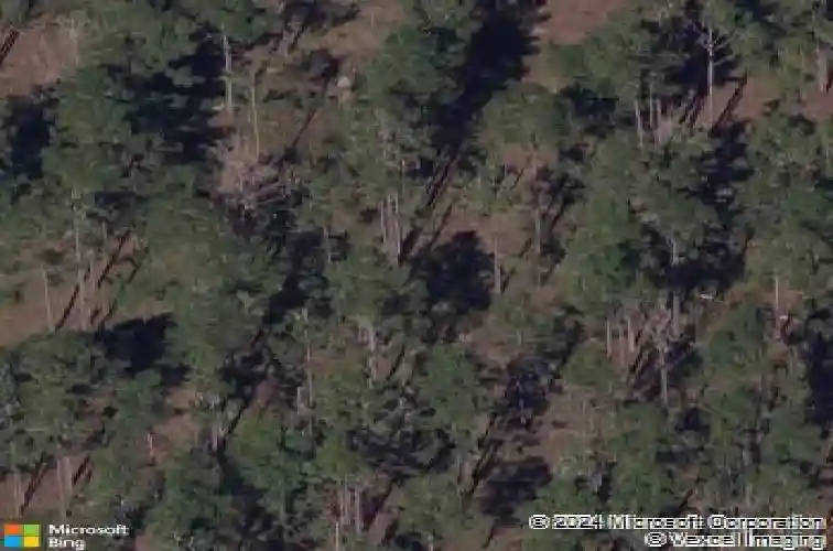  davenport,  FL 33897