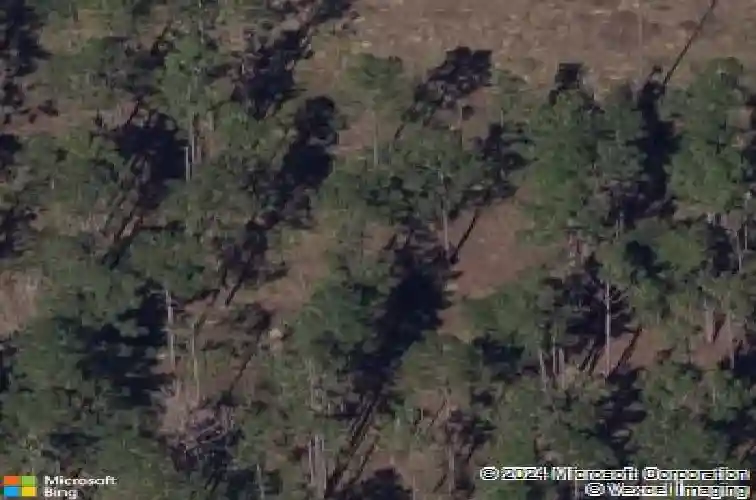  davenport,  FL 33897