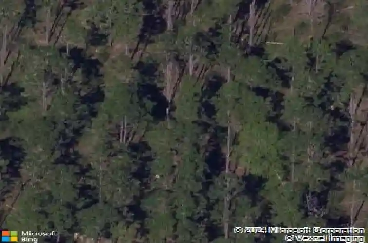  davenport,  FL 33897