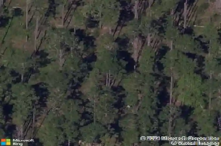  davenport,  FL 33897