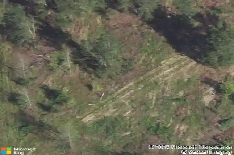  davenport,  FL 33896