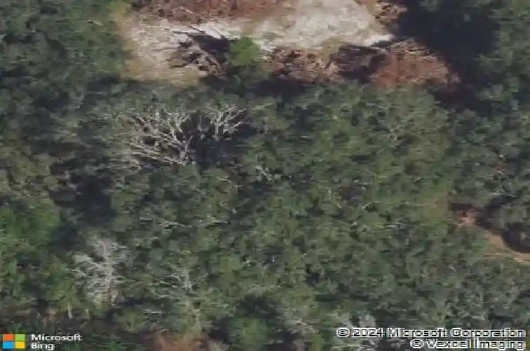  davenport,  FL 33896