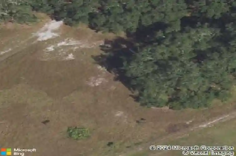  davenport,  FL 33896