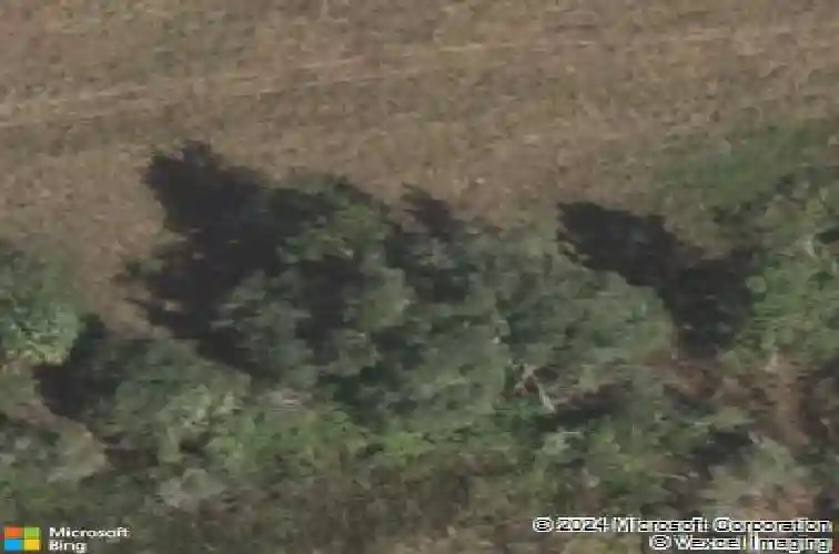  davenport,  FL 33896