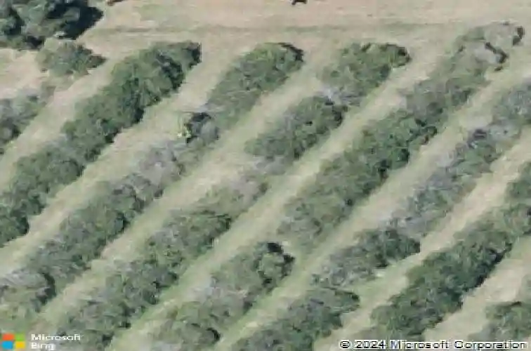  winter haven,  FL 33884