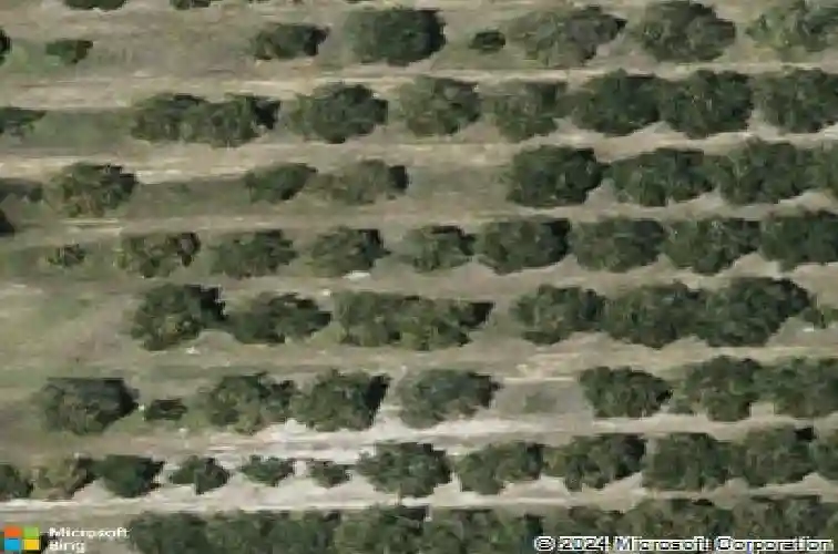  winter haven,  FL 33884