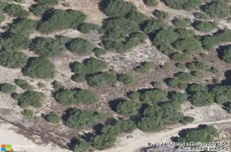 18716 brady clearing ln, austin,  TX 78738