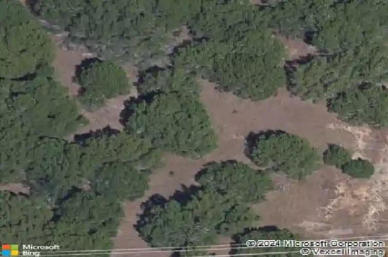 6505 madrone tree ln, austin,  TX 78738