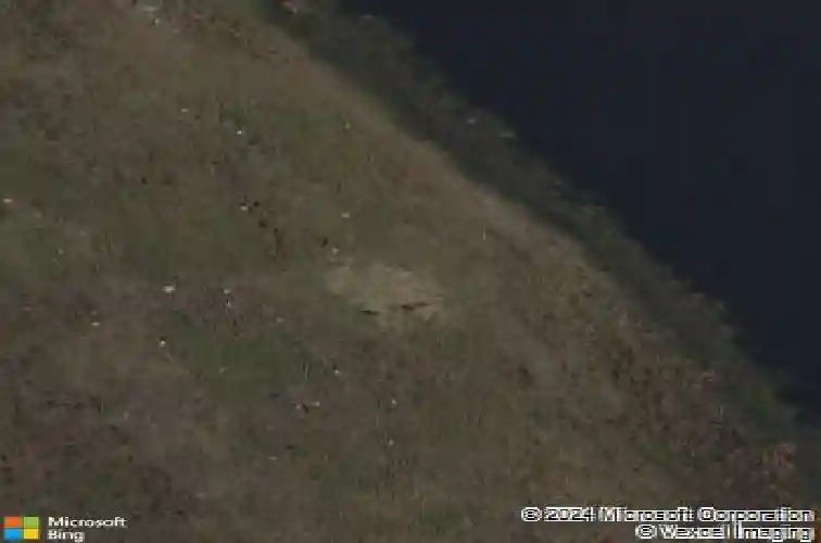 8767 c 469, center hill,  FL 33514