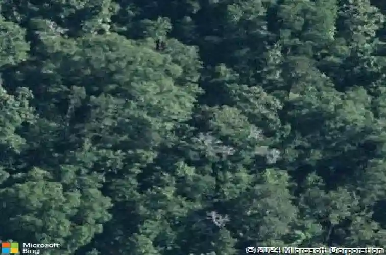  midland city,  AL 36350