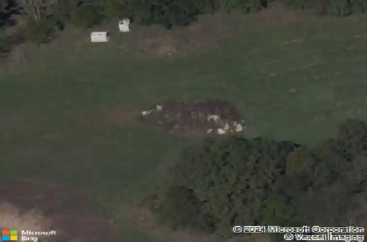 2306 larkspur ln, kearney,  MO 64060