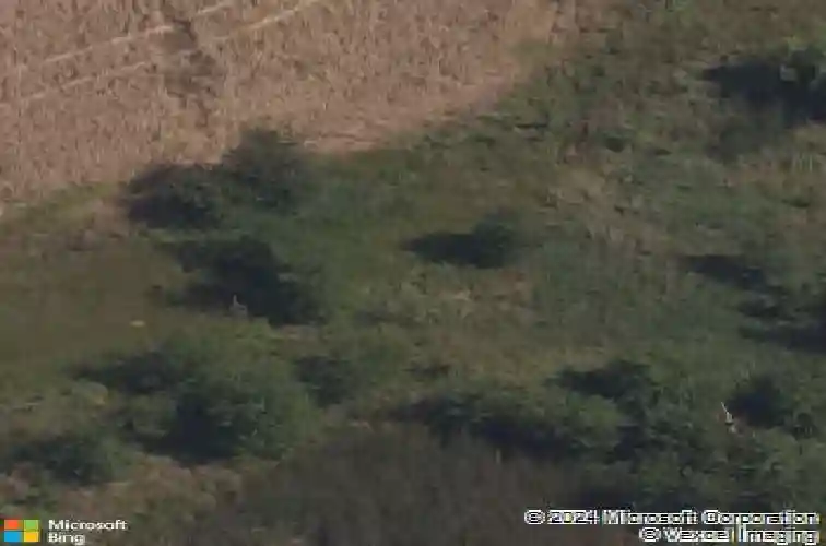 11803 n bellaire ave, kansas city,  MO 64156