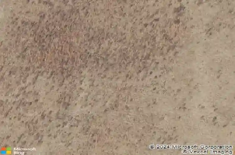  montgomery,  TX 77316