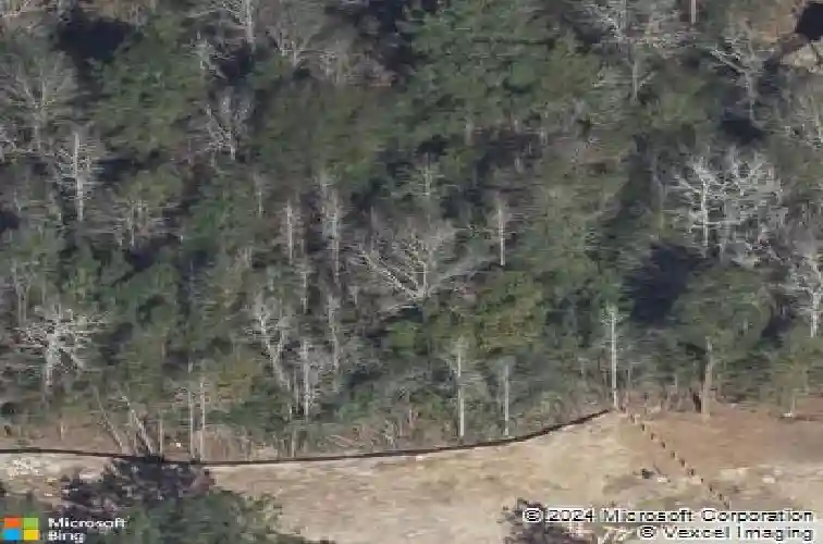  montgomery,  TX 77316