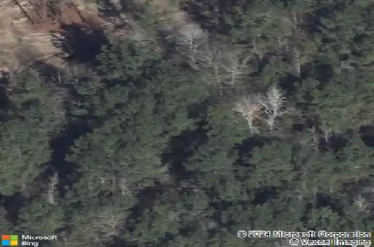  montgomery,  TX 77316