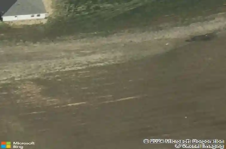  new caney,  TX 77357