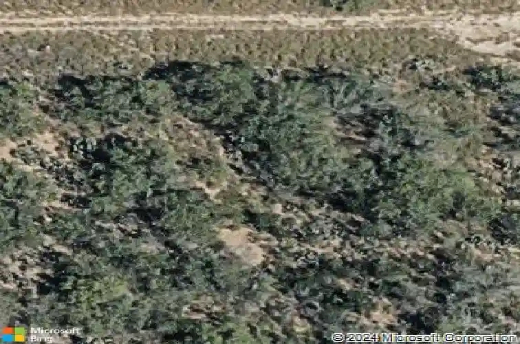 5616 lone star loop, laredo,  TX 78046